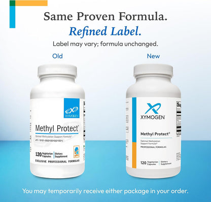 XYMOGEN Methyl Protect - Activated B Vitamin Supplement with 5-MTHF, B12, B6, B2 - Cardiovascular & Neurological Support - 120 Capsules