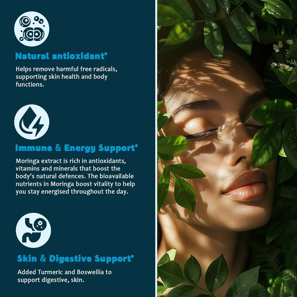 (2 Pack) Organic Moringa Leaf Extract Liquid Drops with Turmeric, Boswellia – Energy, Antioxidant, Skin & Immune Support – – Image 6