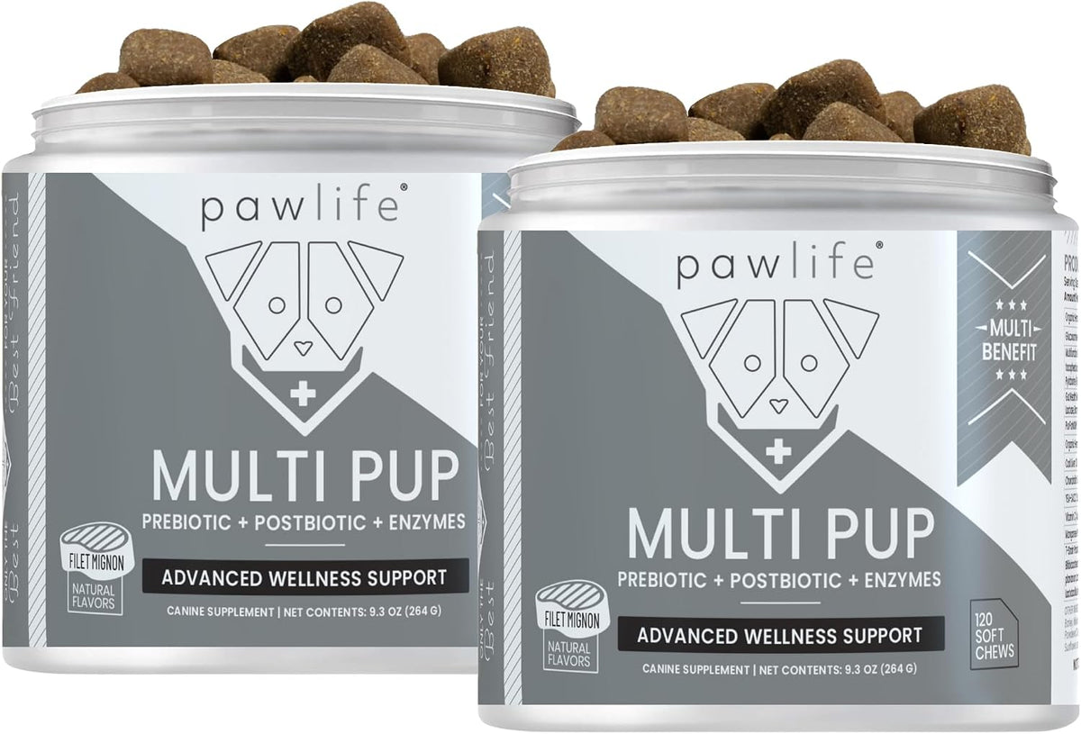 All Natural Multivitamin Soft Chews for Dogs 240ct – Image 1