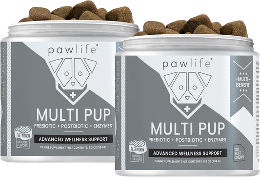 All Natural Multivitamin Soft Chews for Dogs 240ct – Image 1