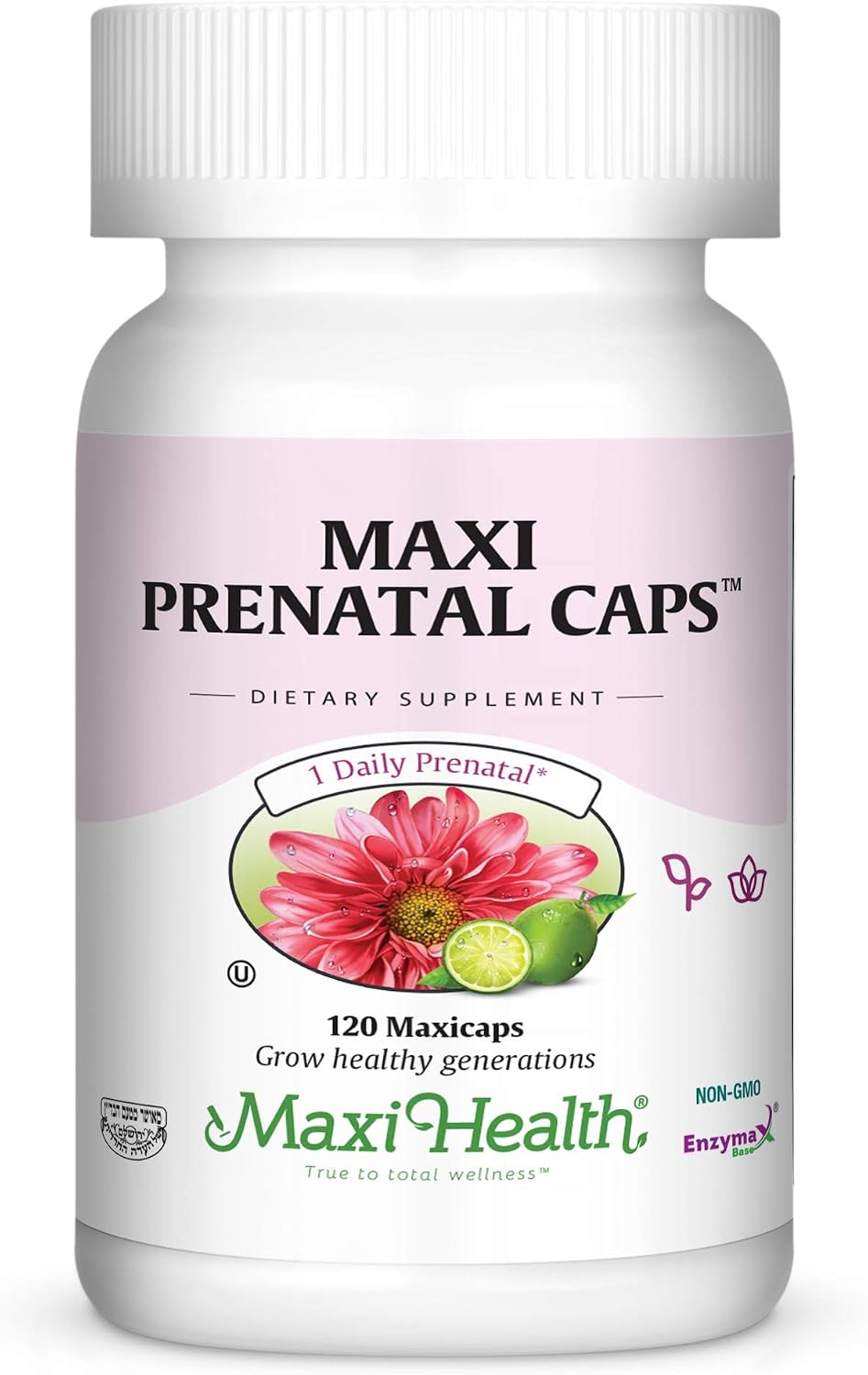 Prenatal Vitamins for Women – Complete Pregnancy Multivitamin with Folic Acid, Iron, Vitamin D3, B12, Zinc & Biotin – Daily Prenatal Support – 120 Capsules - görsel 1