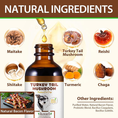Turkey Tail Mushroom for Dogs, – Energy and vitality: By supporting multiple body systems, this blend may help – Image 4