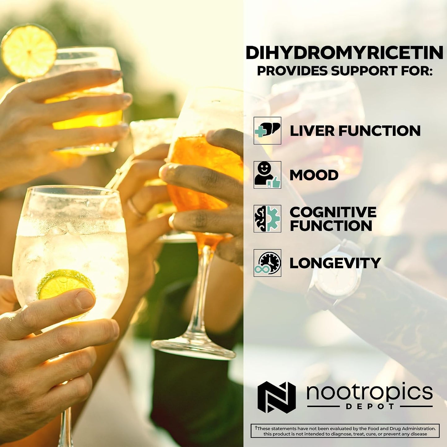 Nootropics Depot Dihydromyricetin (DHM) Capsules - görsel 4
