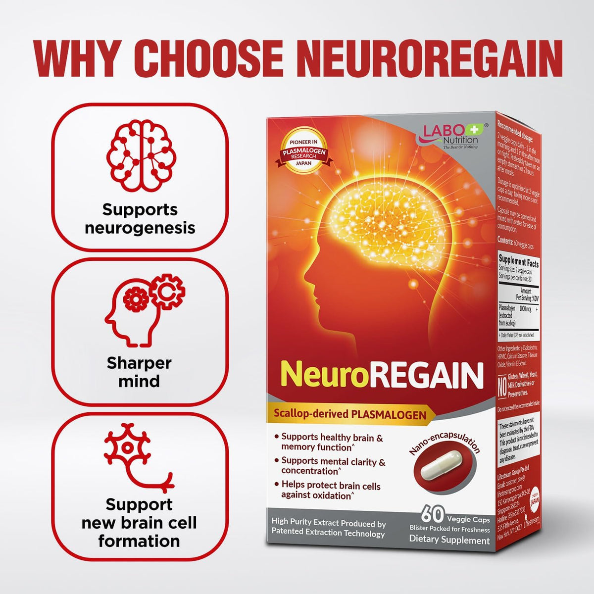 LABO Nutrition NeuroREGAIN – Scallop-derived – Neuroregenesis: Encourages the growth of new brain cells – Image 5