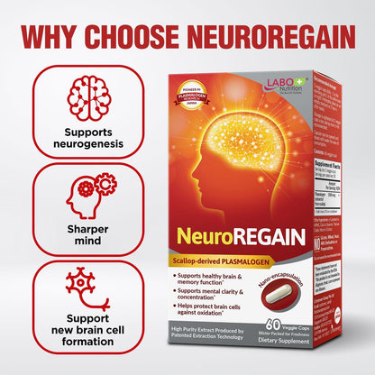 LABO Nutrition NeuroREGAIN – Scallop-derived – Neuroregenesis: Encourages the growth of new brain cells – Image 5