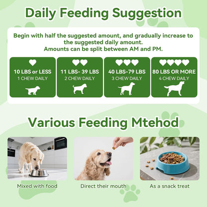 Woooha Probiotics for Dogs – 6 Billion CFU – Strain Diversity: Different probiotic strains perform different – Image 6