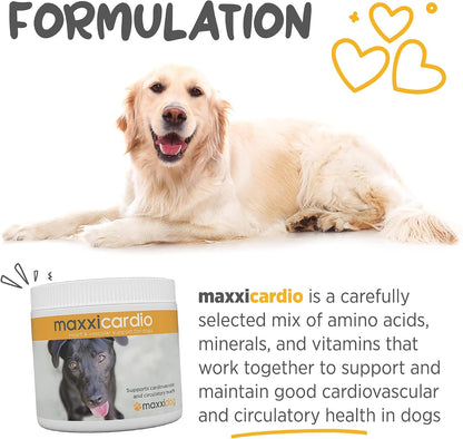 maxxicardio Heart Support for Dogs (Small Size) – Taurine + L-Carnitine + Hawthorn + Ginkgo – Helps Support Circulation, Energy & Stamina – Easy Mix Powder – Made in USA – 91 g