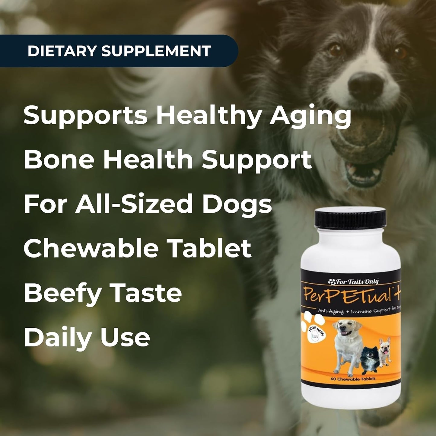Youngevity Perpetual Plus Made-for-Pets Supplement, 60 Count - görsel 4