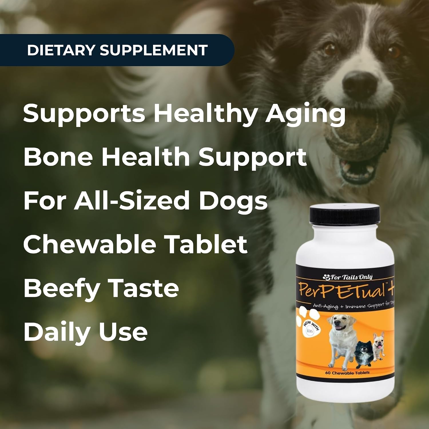 Youngevity Perpetual Plus Made-for-Pets Supplement, 60 Count - görsel 4