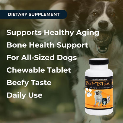 Youngevity Perpetual Plus Made-for-Pets Supplement, 60 Count