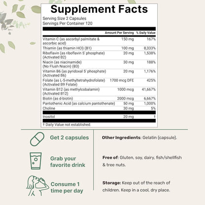 Micro Ingredients Pure Methylated B Complex, 240 Capsules