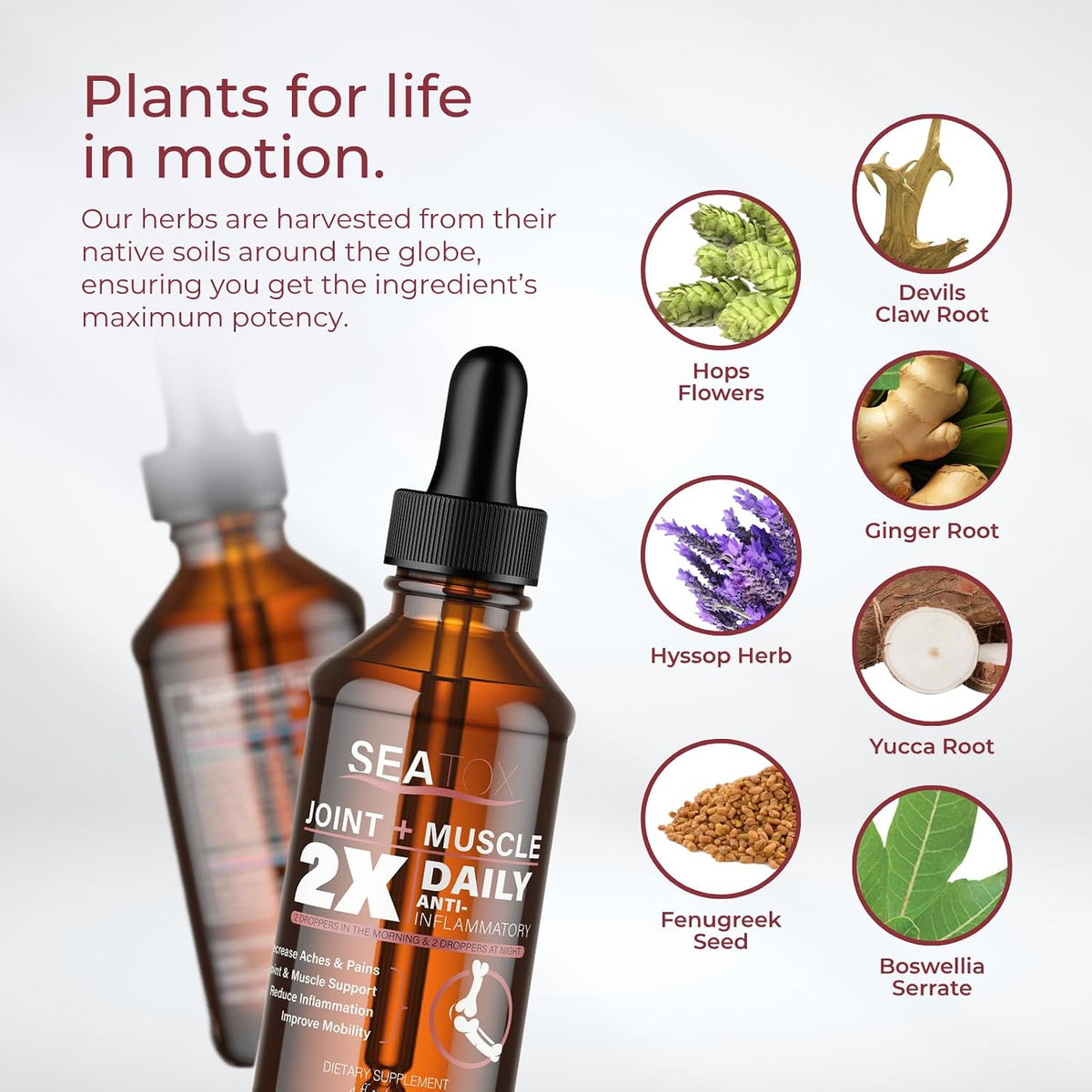 SeaTox Joint + Muscle Liquid Support - – Yuca Root: Contains antioxidants that may help protect cells from – Image 4