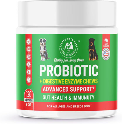 Probiotics for Dogs Soft Chews, 120 Chews – Complete Gut Care for Digestive & Immune Support | Probiotics for Digestive – Image 1