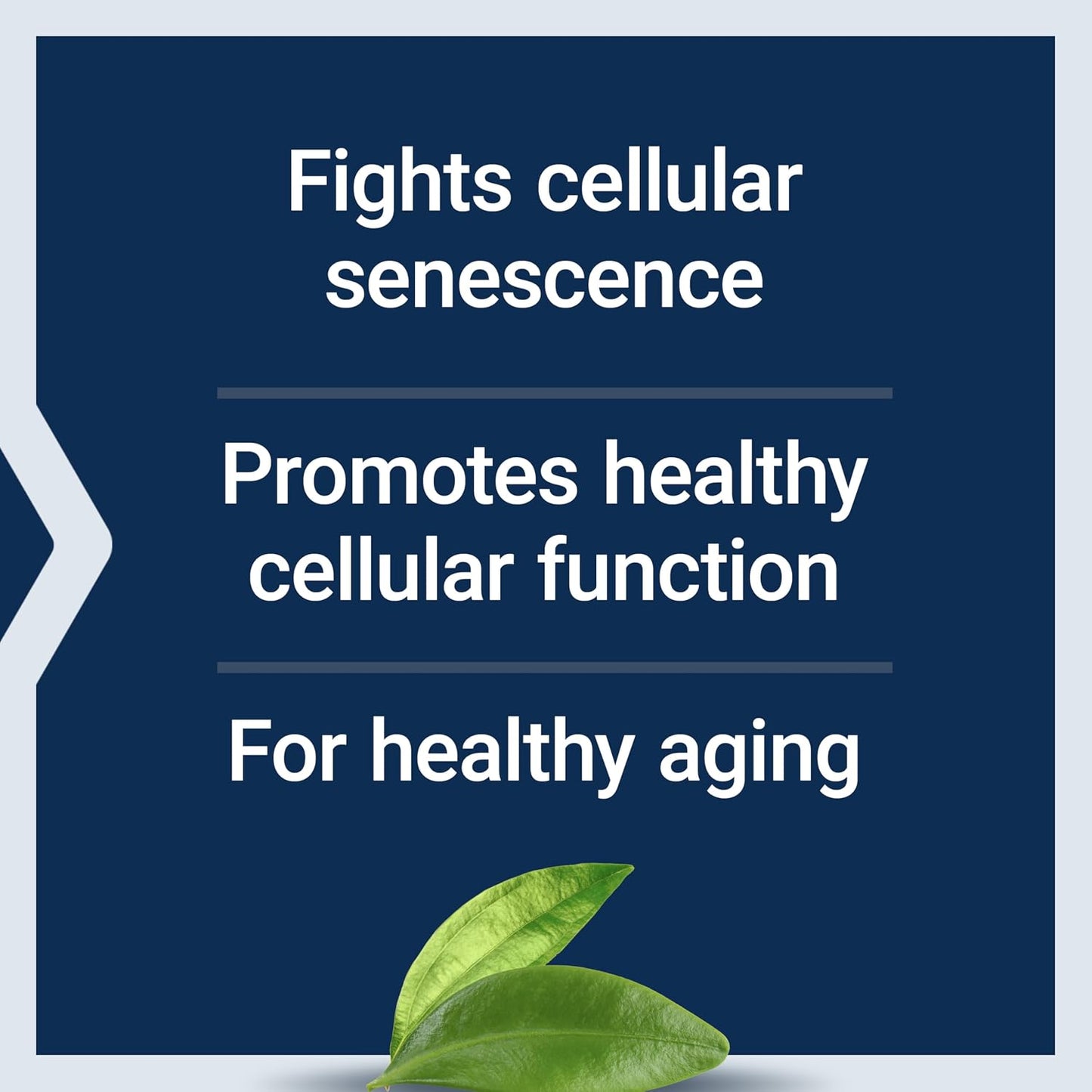 Life Extension GEROPROTECT Ageless Cell - Cellular Health & Healthy Ageing Formula - görsel 4
