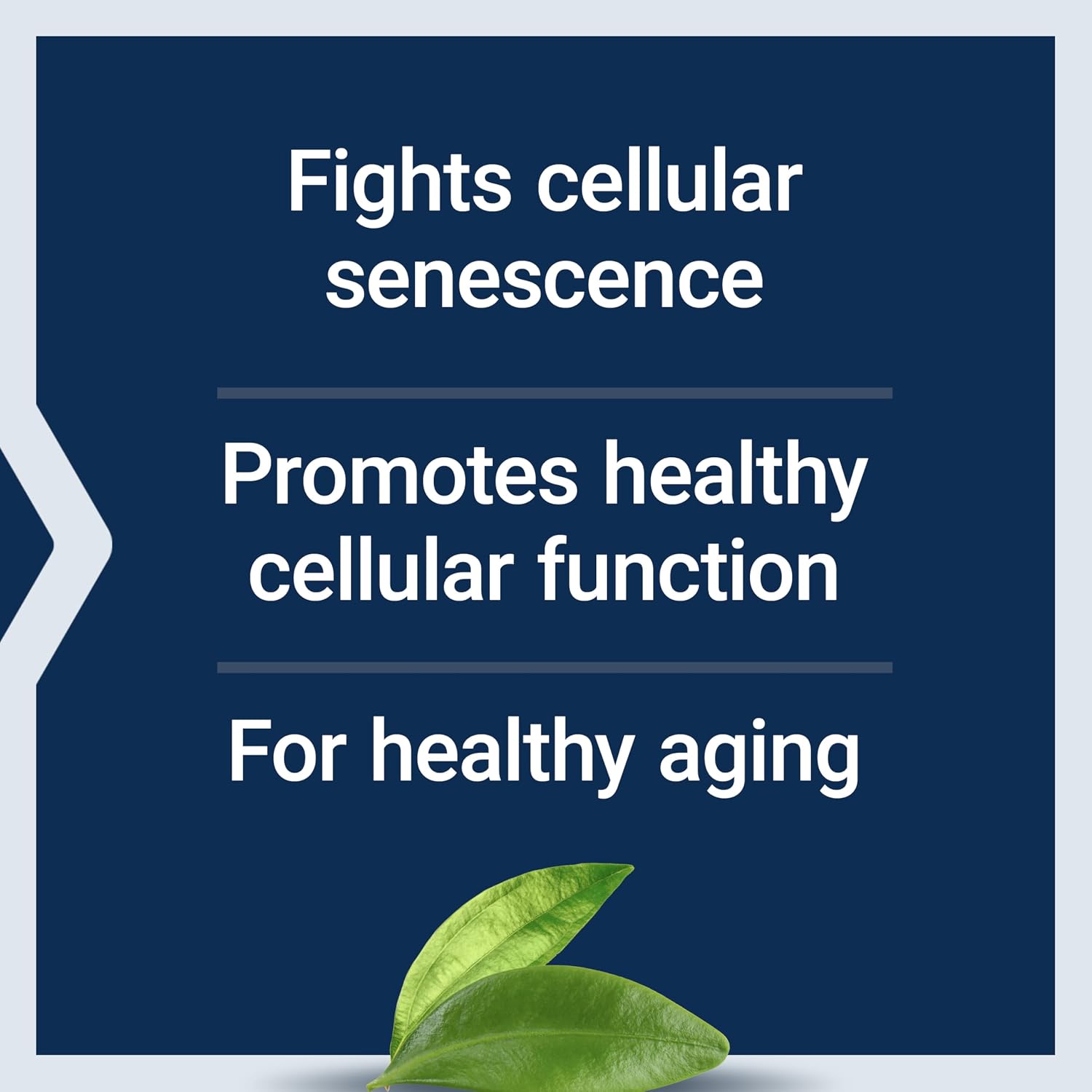Life Extension GEROPROTECT Ageless Cell - Cellular Health & Healthy Ageing Formula - görsel 4