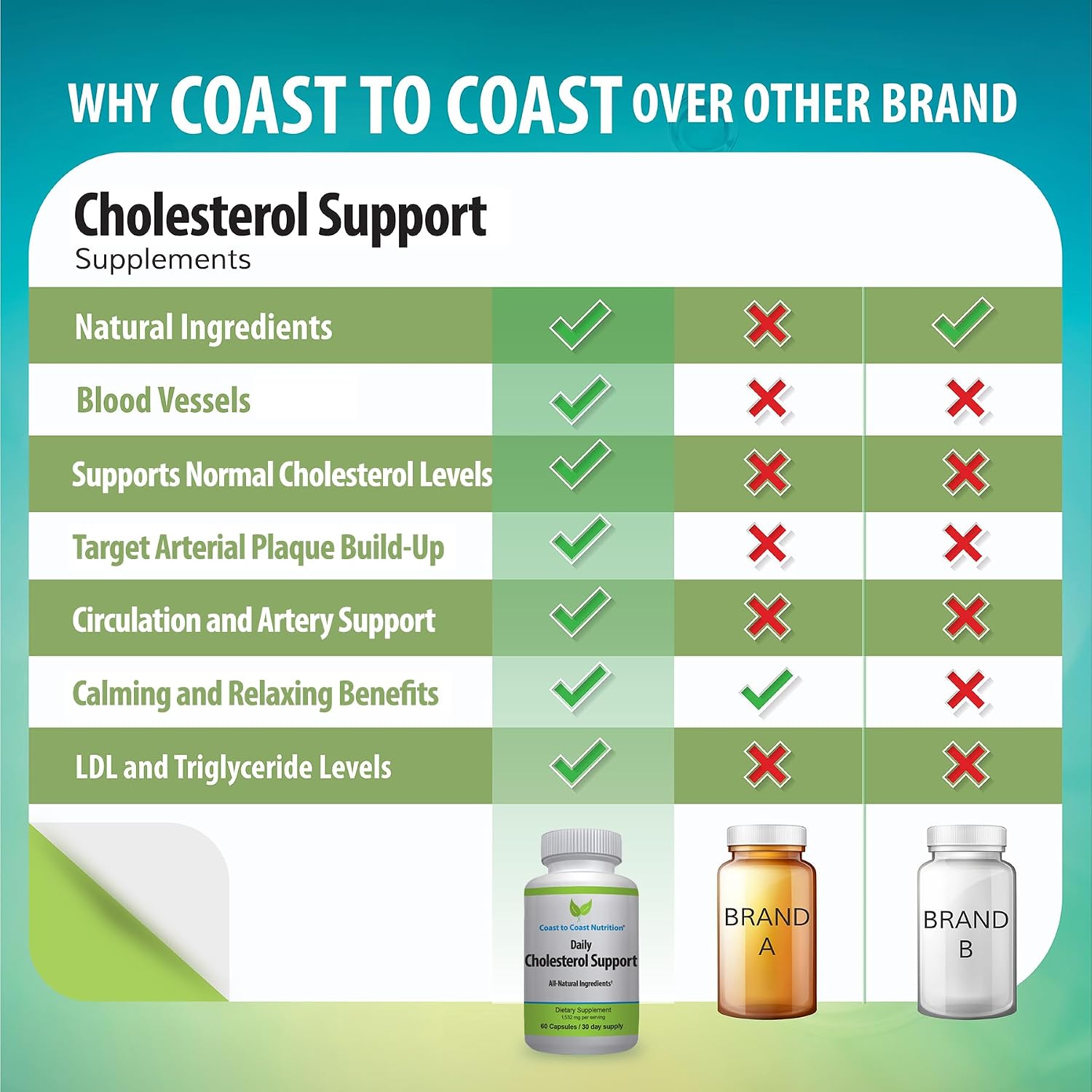 Coast to Coast Nutrition Cholesterol Support Supplement – 60 Capsules - görsel 5