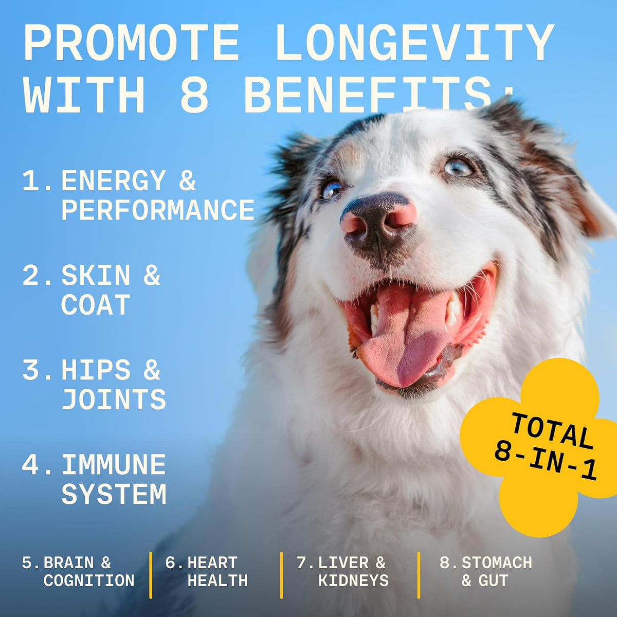 8-in-1 Dog Multivitamin – 100% Natural – Functional Mushrooms : A blend including reishi, shiitake, or maitake – Image 6