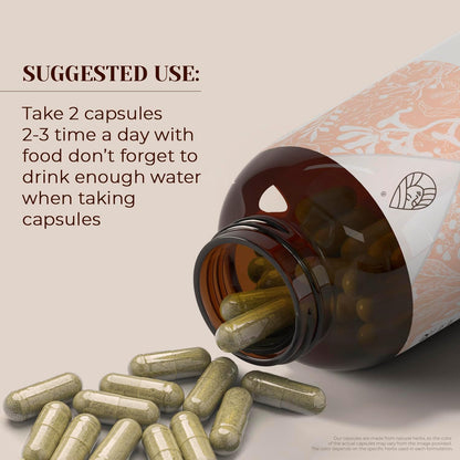 Garden Organics Organic Nutmeg Capsules (60 Capsules) – USDA Certified High-Potency Supplement