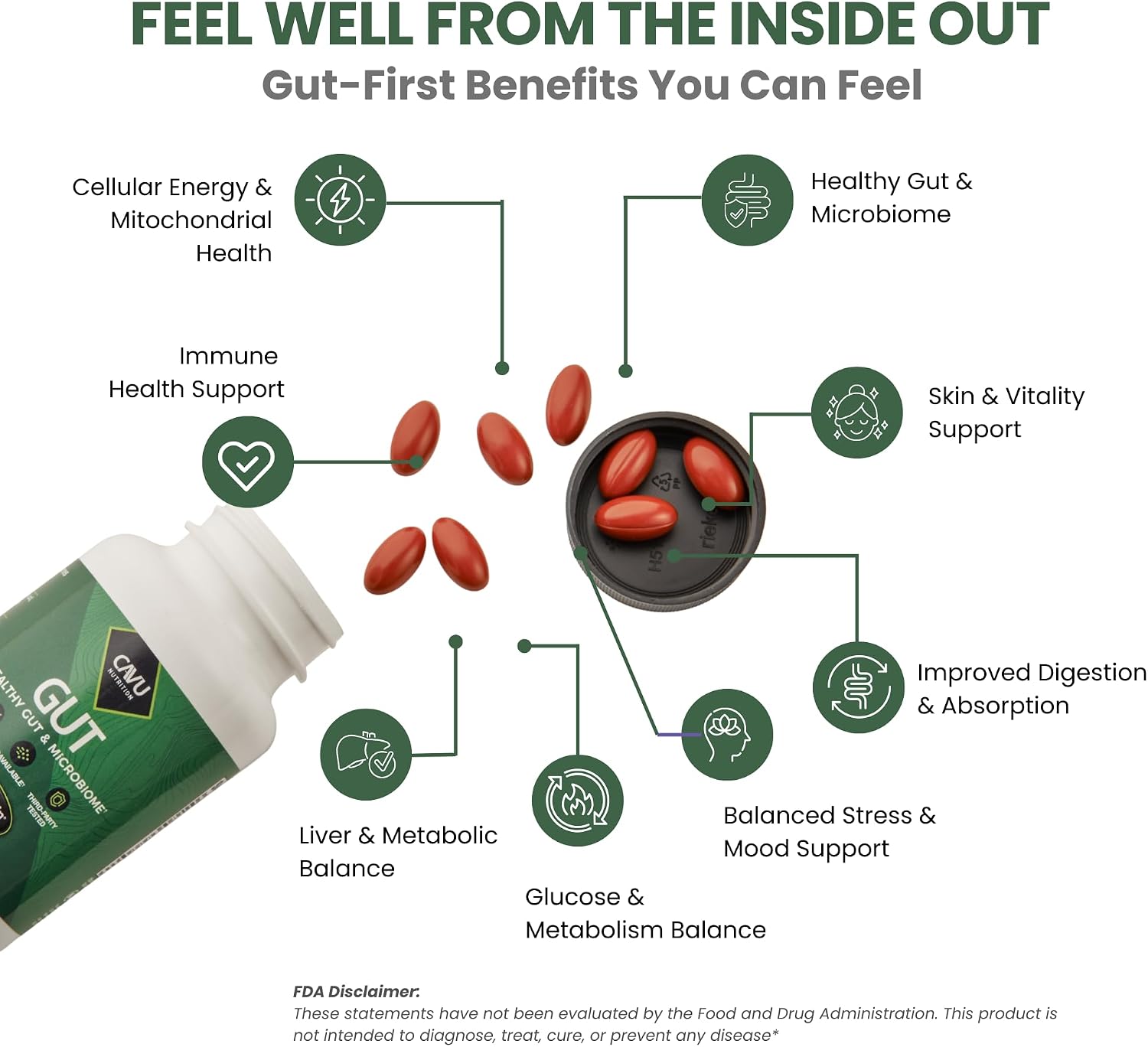 Gut Health Supplements for Healthy Digestion & Gut Repair | Advanced Formula with Bioavailable Black Seed Oil with 3% Thymoquinone | Gut Health Supplements for Women's & Men | 60 Soft-gels - görsel 4