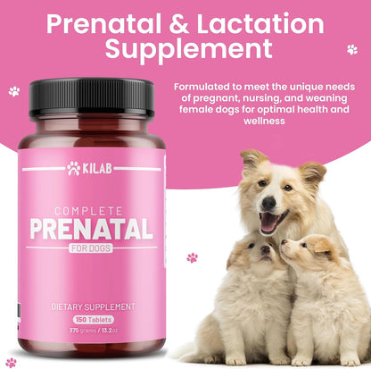 Kilab Complete Prenatal Vitamins for Dogs – – Choline – Plays a key role in fetal brain development and helps – Image 2
