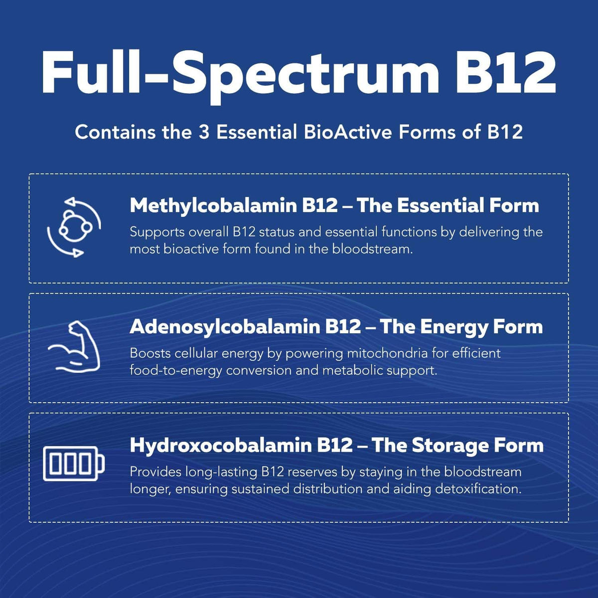 BioActive Vitamin B Complex - Blood Stream – B7 (Biotin): Supports hair, skin, and nail health, as well as – Image 6