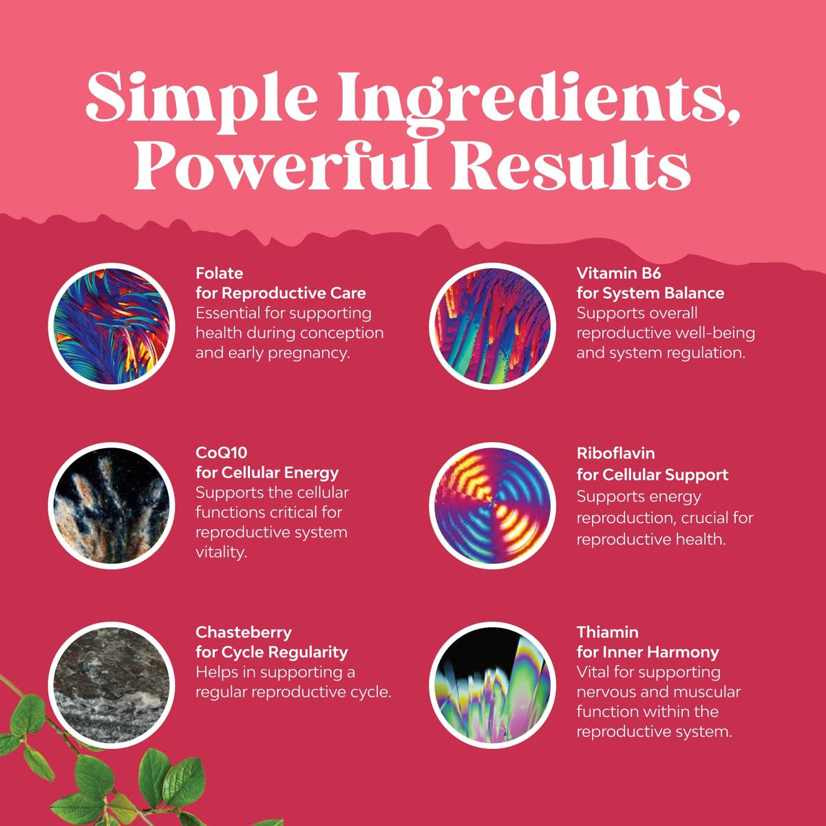 Fertility Supplements for Women's with Inositol & Folic Acid - Preconception Vitamins for Hormone Balance with – Image 4