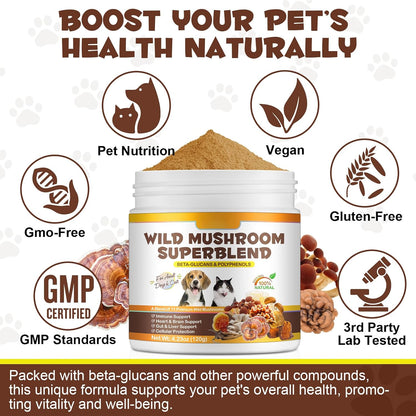 Mushroom Supplement Powder for Dogs & Cats - – Lion's Mane (Hericium erinaceus): Often used for cognitive support, – Image 7
