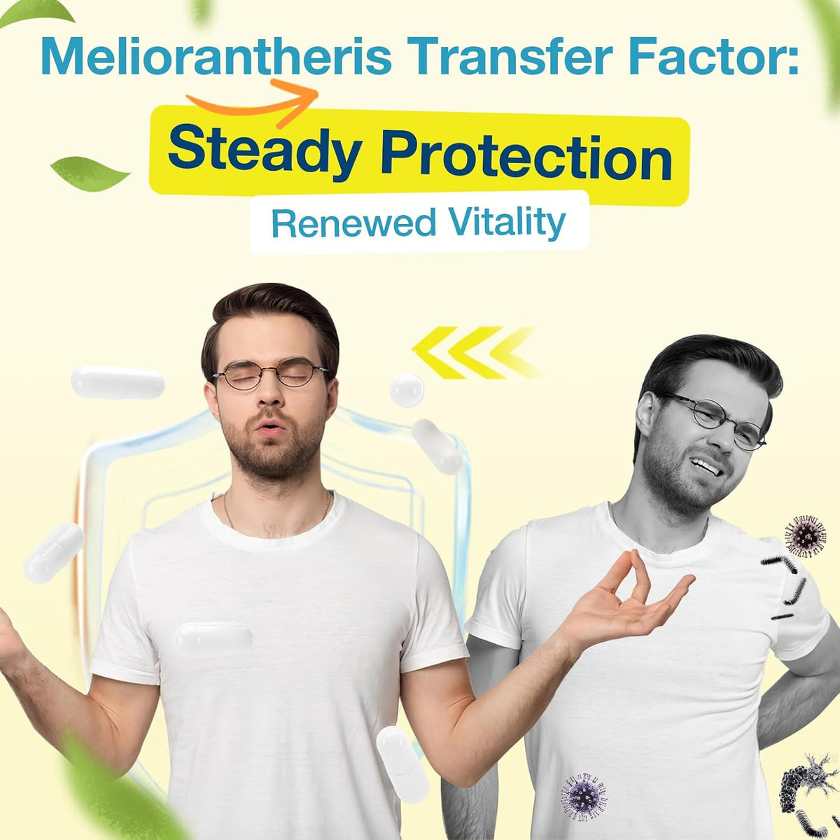 Transfer Factor 1800mg | Colostrum & Egg – Egg Yolk Transfer Factor: A complementary source of transfer factors – Image 7
