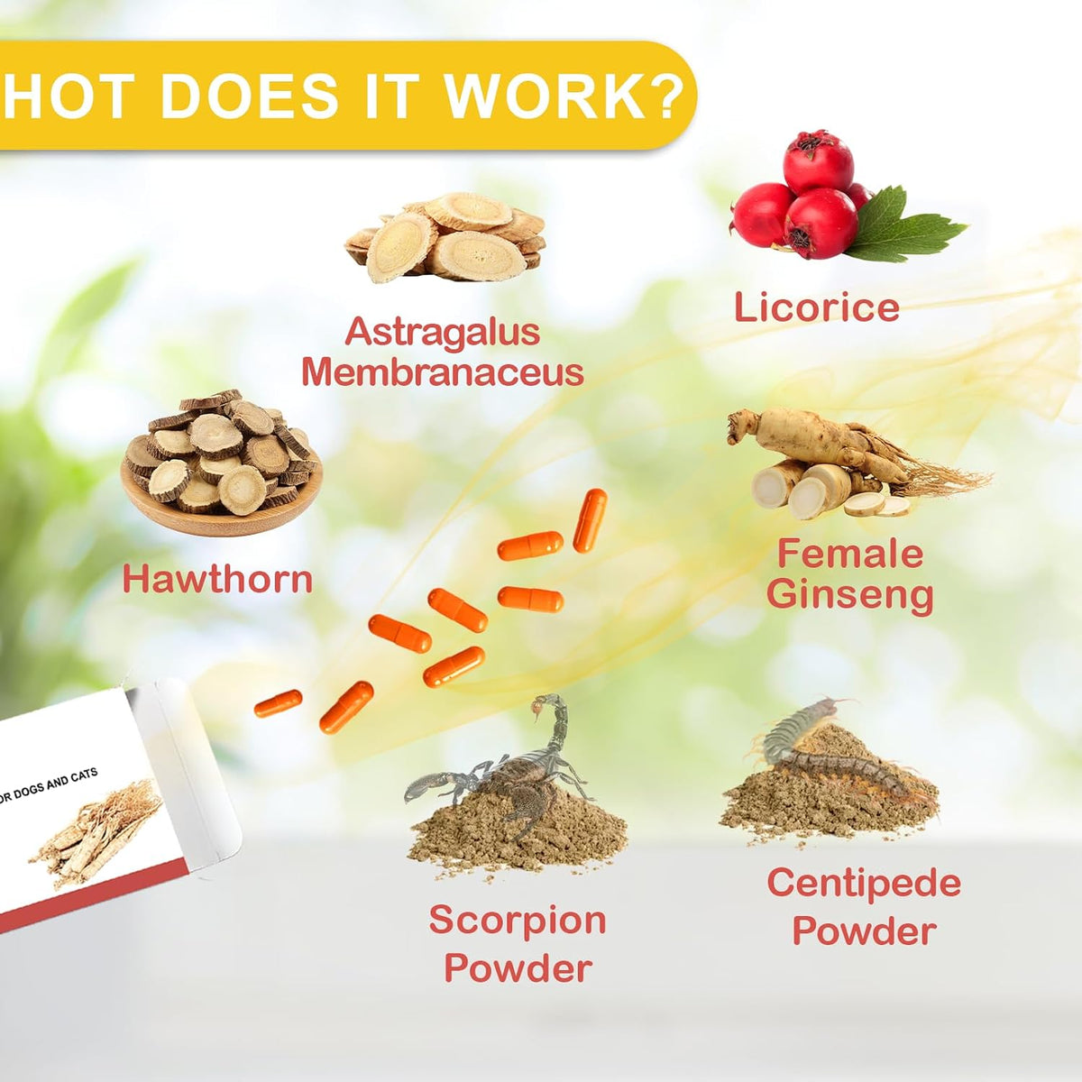 Immune Defence Supplement for Dogs & Cats – – Boosts Vitality: Many pet owners notice improved energy and overall – Image 3