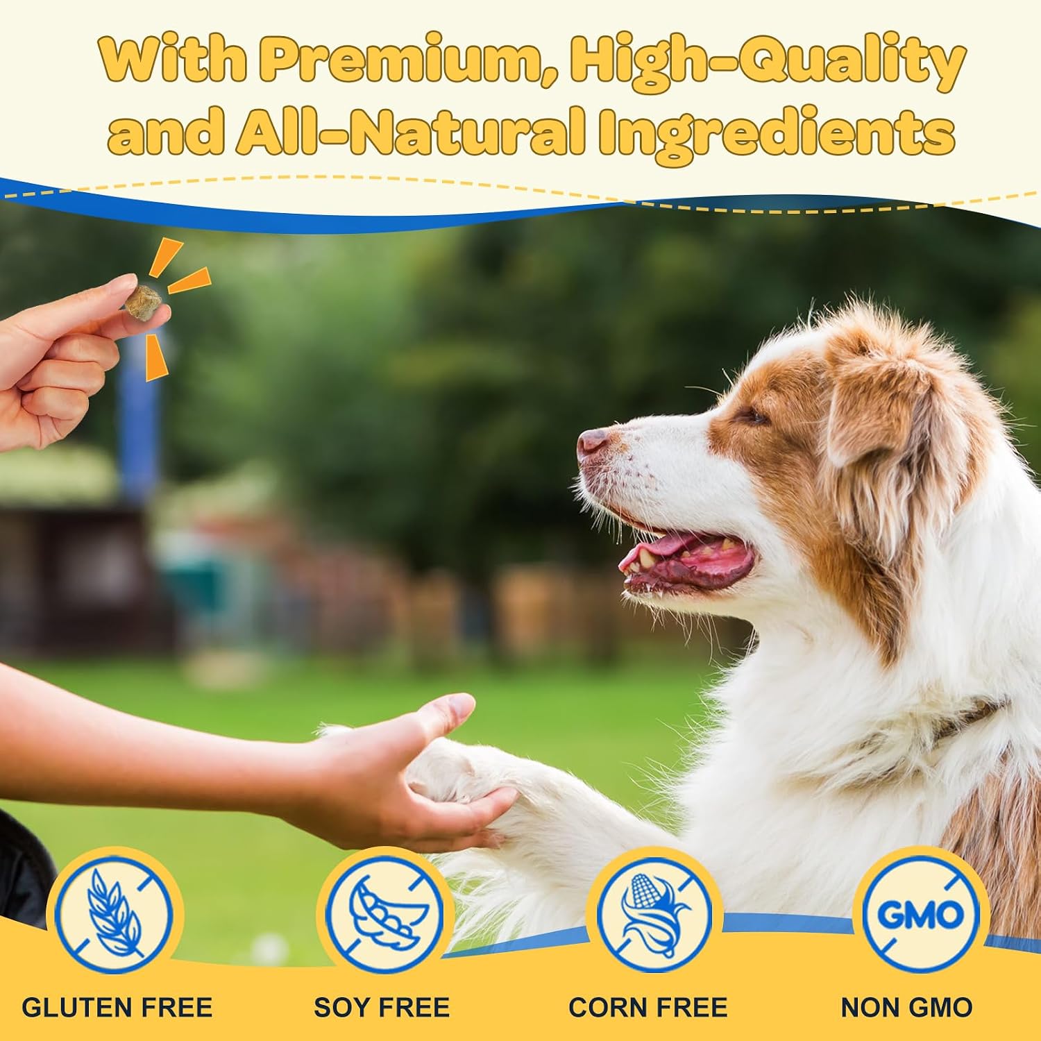 ZEBORA Dog Multivitamin with Probiotics - Complete Canine Supplement - görsel 7
