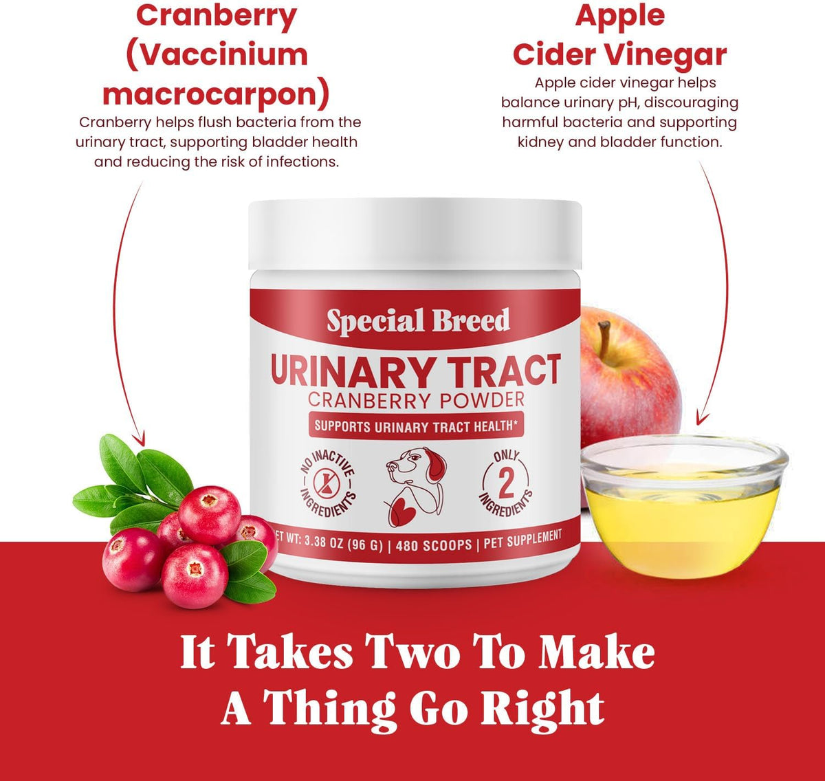 UTI & Urinary Tract Treatment for Dogs – – Promotes a healthy urinary environment – Cranberry and apple cider – Image 2