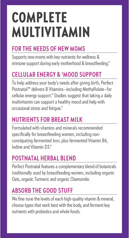 New Chapter Postnatal Vitamins – Lactation Support Multivitamin with Fermented D3 & B Vitamins, 96 Tablets