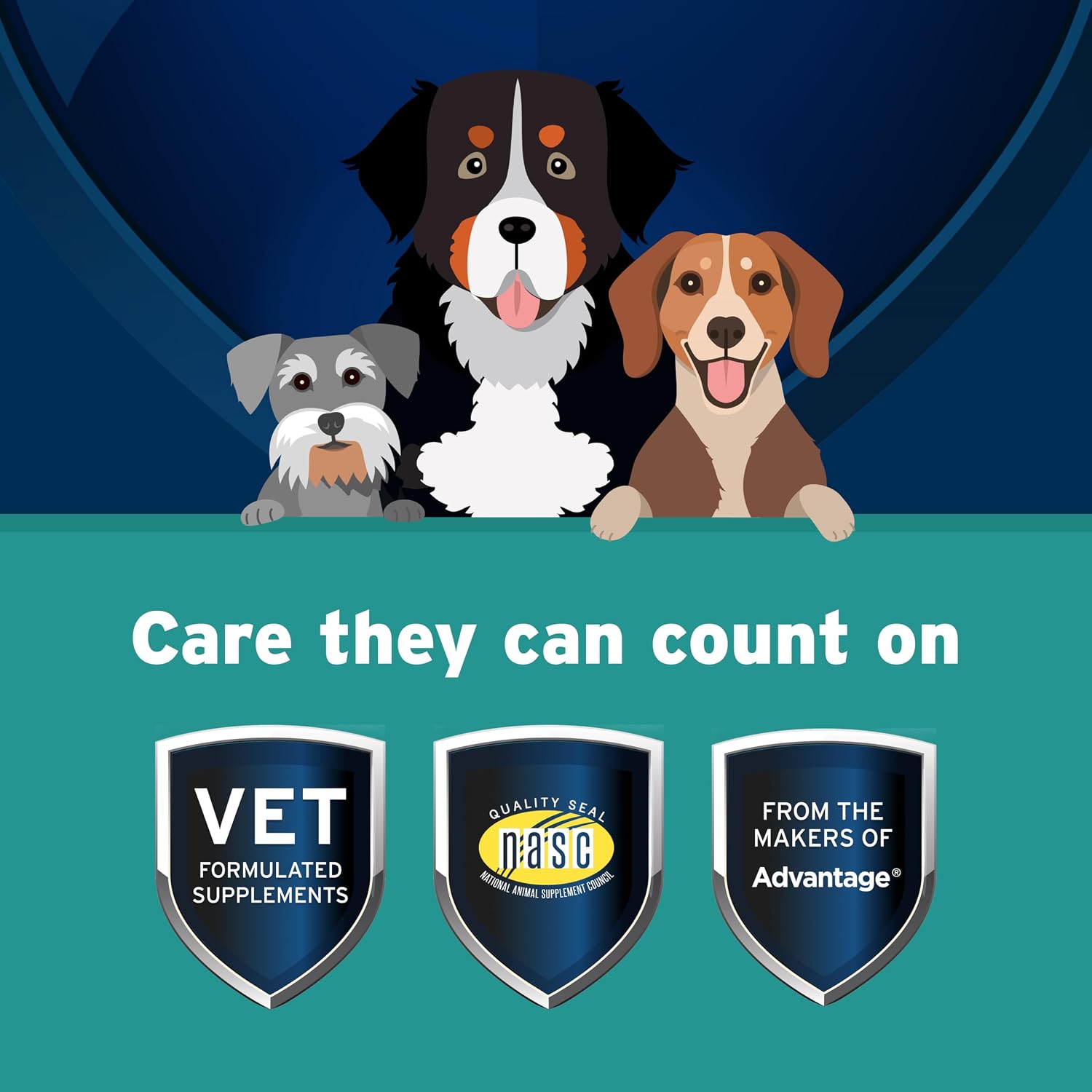 Pet Protect Whole Body Comfort+ Supplement for Dogs – Vet-Formulated Alenza, Supports Normal Inflammatory Response, Chicken-Flavoured Soft Chews (120 Count) - görsel 4