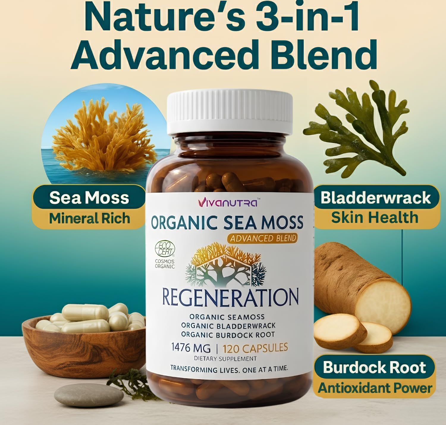 VIVANUTRA Organic Wildcrafted Sea Moss Capsules, 1476mg, 120ct - görsel 7