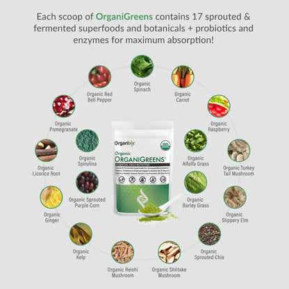 Organixx Greens Superfood Powder with Probiotic Digestive Enzymes