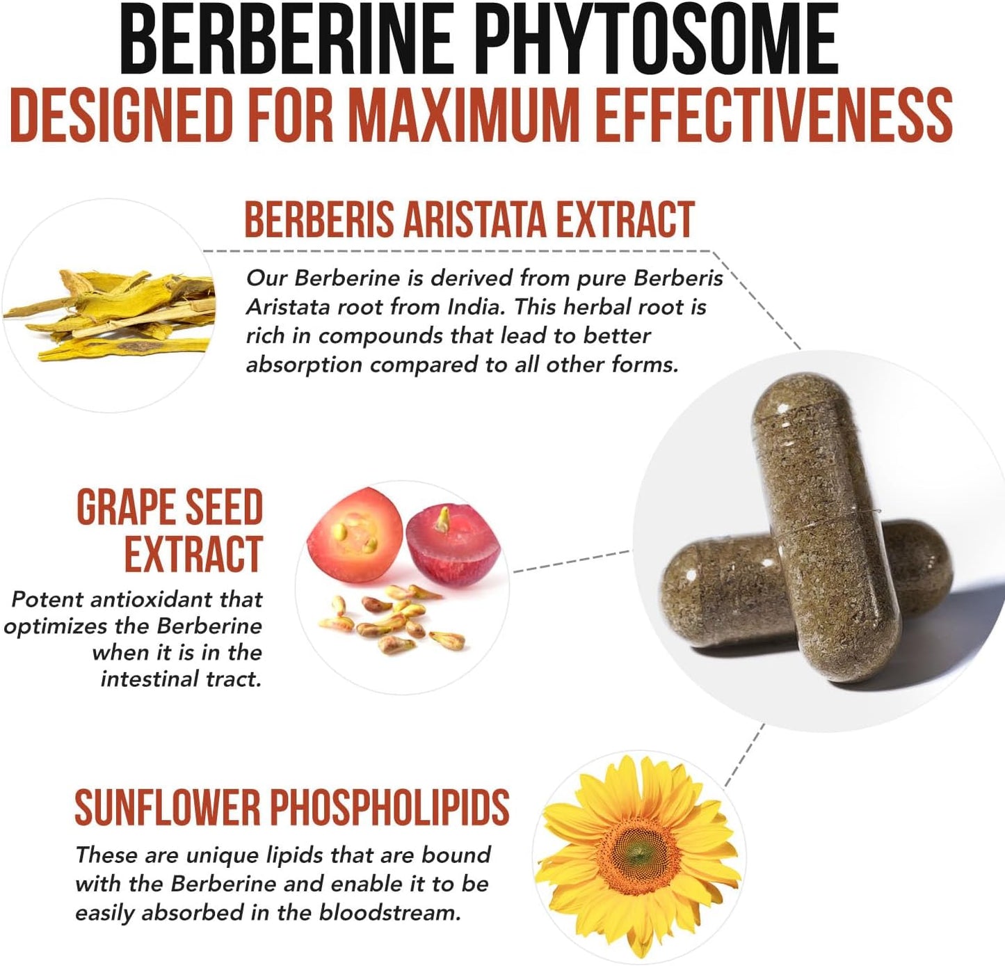SoActive Berberine 550mg – Optimised Phytosome for Enhanced Absorption | Supports Metabolism & AMPK Activation | Non-GM, Soy-Free | 60 Capsules - görsel 4