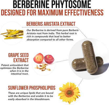 SoActive Berberine 550mg – Optimised Phytosome for Enhanced Absorption | Supports Metabolism & AMPK Activation | Non-GM, Soy-Free | 60 Capsules