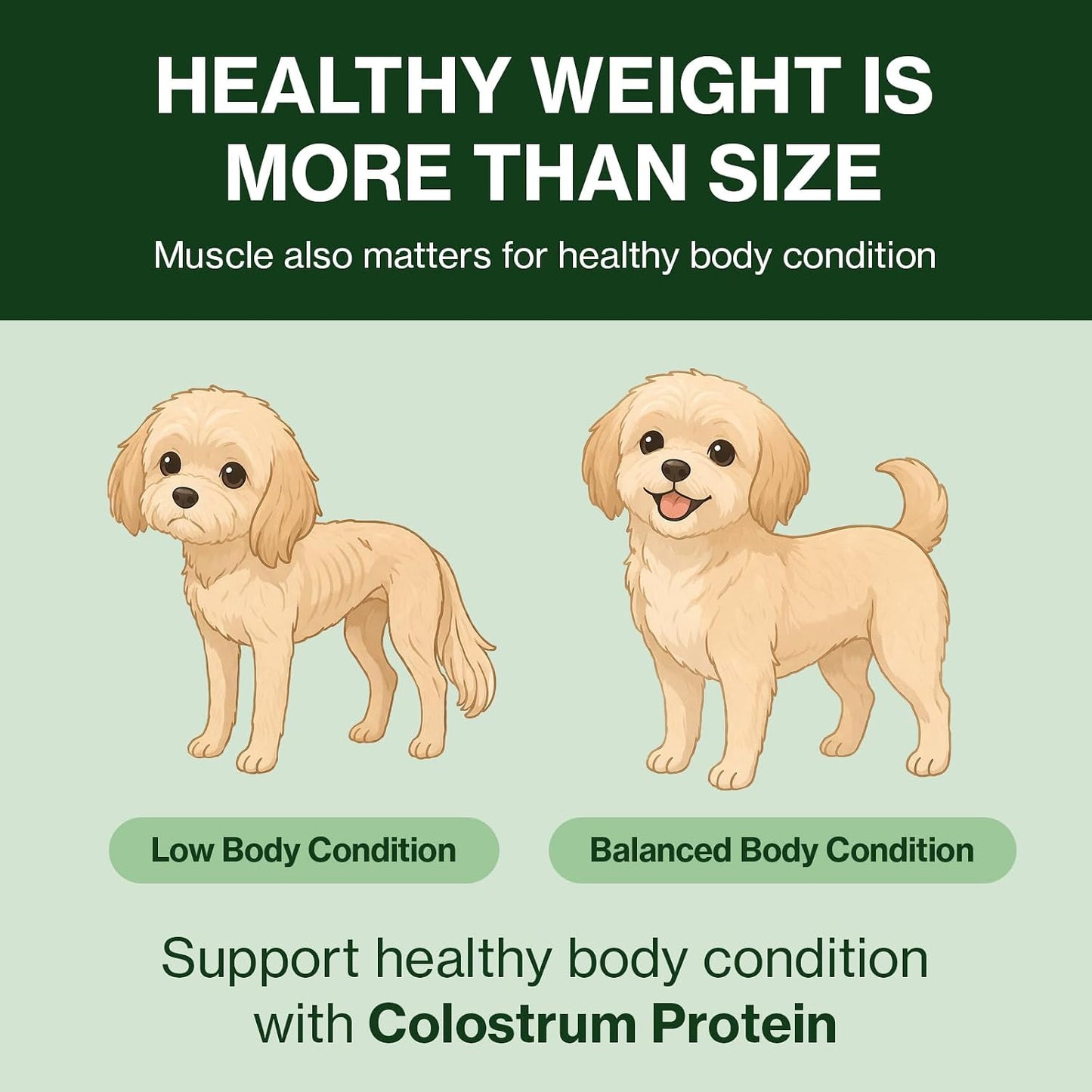 Doctor By Colostrum Protein for Dogs and Puppies – Weight Gain Supplement for Dogs – Muscle Strength and Immune System Support with Colostrum, Whey Protein Isolate, Goat Milk – 30 Tubes - görsel 6