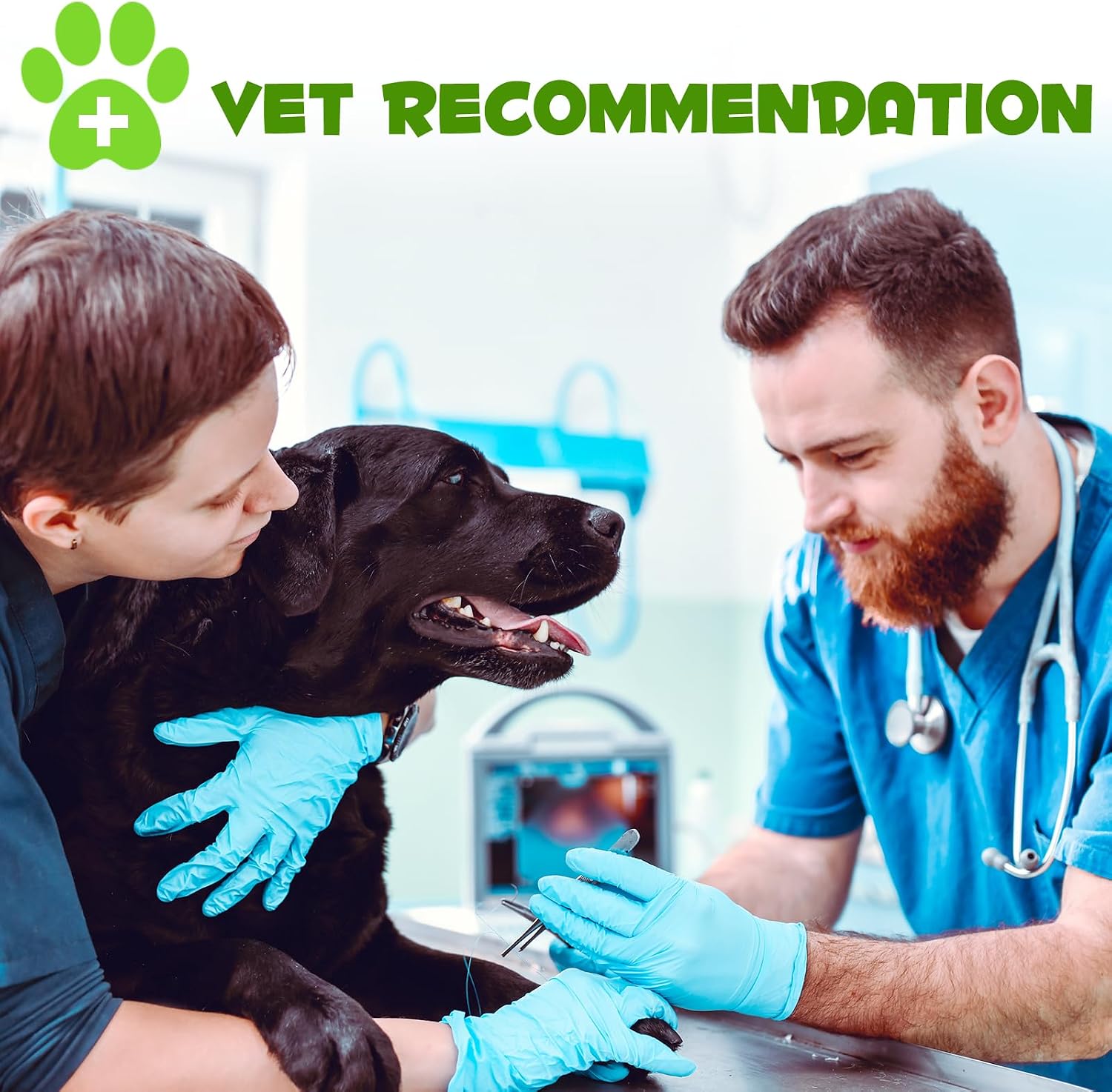 Probiotics for Dogs, 3-in-1 Dog Probiotics, Dog Probiotics for Digestive Support, Dog Probiotic Supplements, Pet Probiotics for Dogs, Liquid Probiotics for Dogs | 59 mL - görsel 9