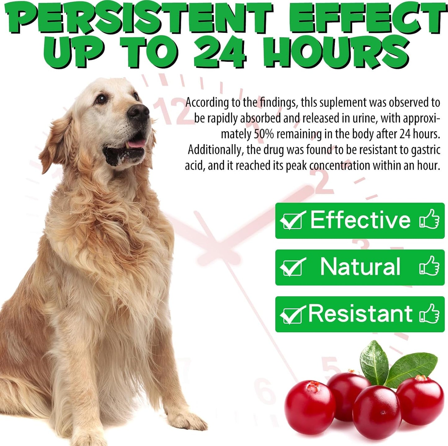 Urinary Tract Supplement for Dogs with Cranberry - 60 ml - görsel 7