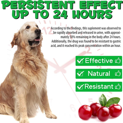 Urinary Tract Supplement for Dogs with Cranberry - 60 ml