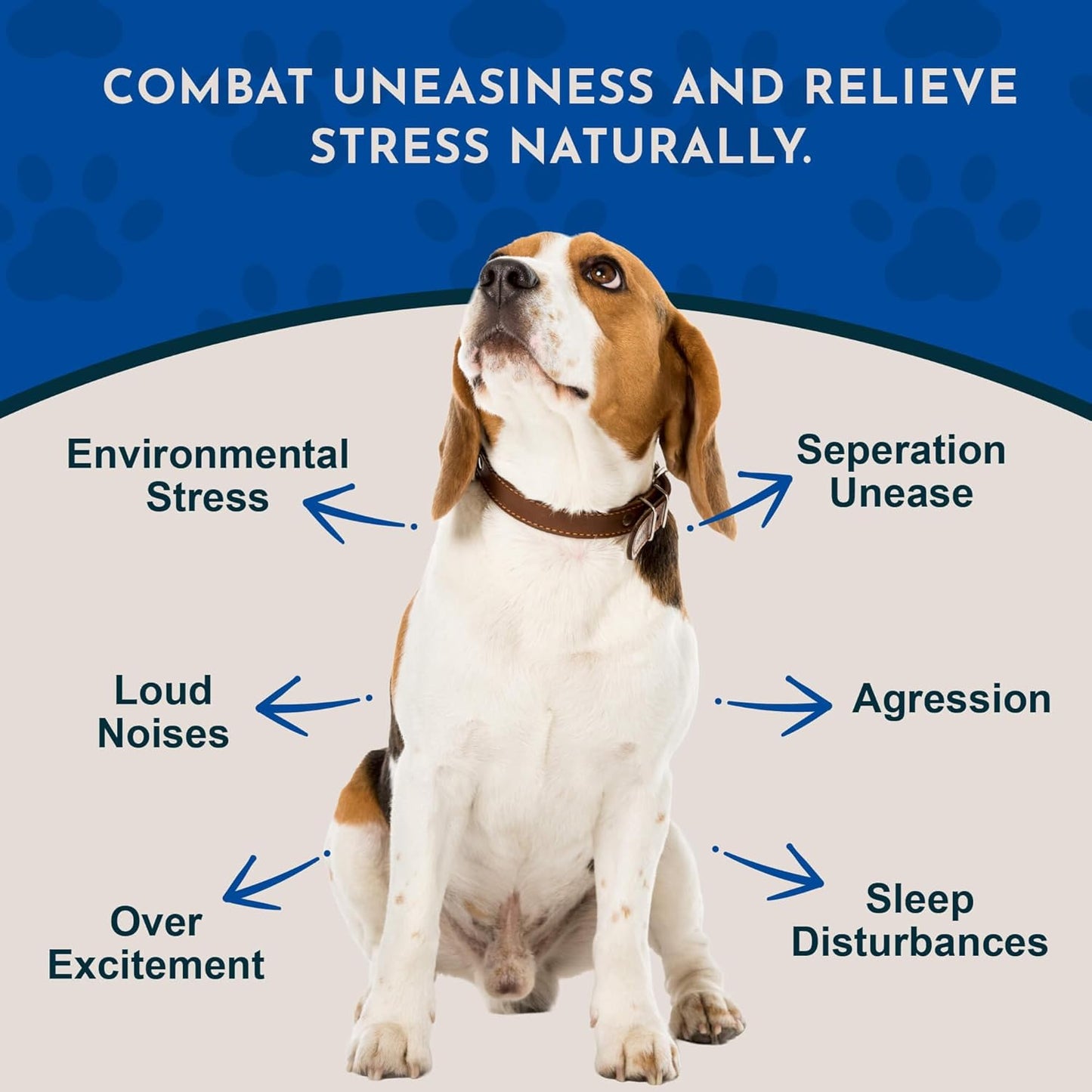 Tranquillity Blend - Organic Valerian Root Calming Drops for Dogs and Cats - görsel 2