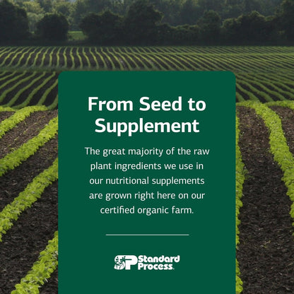 Standard Process Cataplex B B-Complex Supplement - Non-Dairy & Non-Soy - 360 Tablets