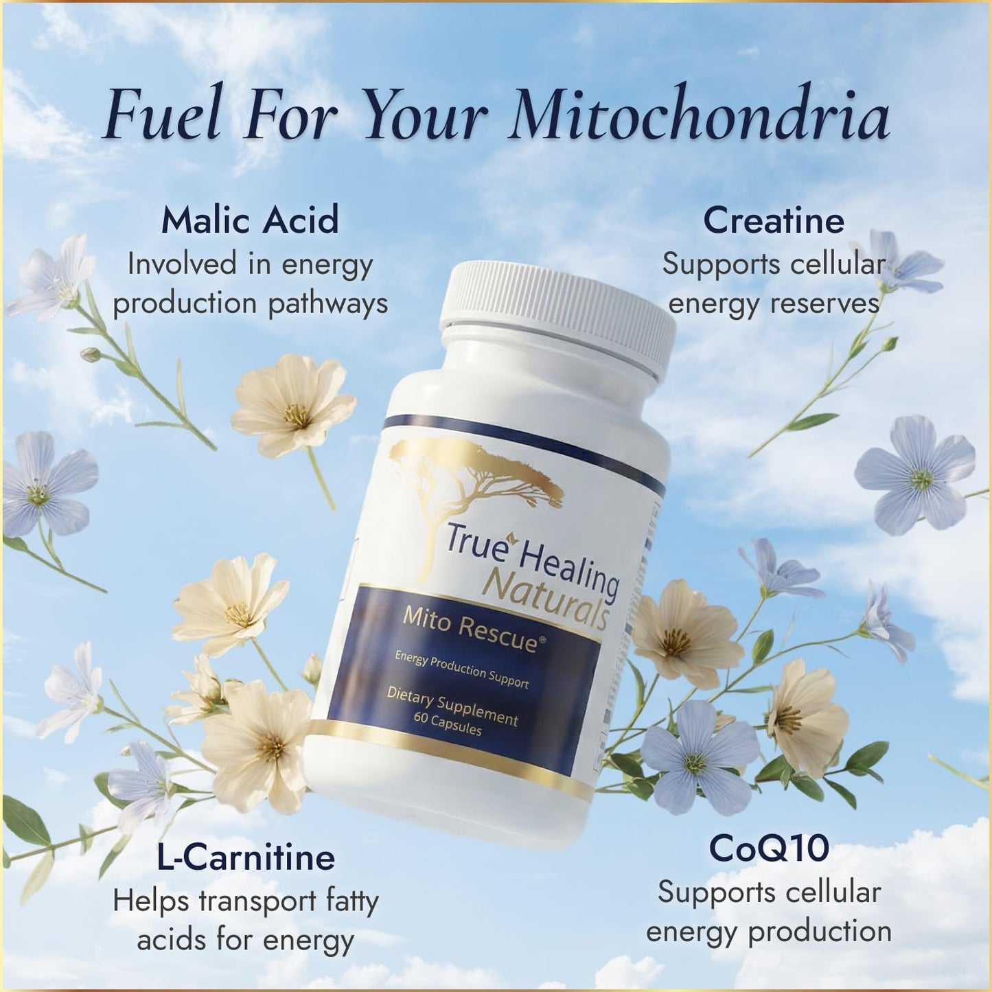 True Healing Naturals Mito Rescue - Mitochondrial Support Supplement, 60 Vegetarian Capsules - görsel 3
