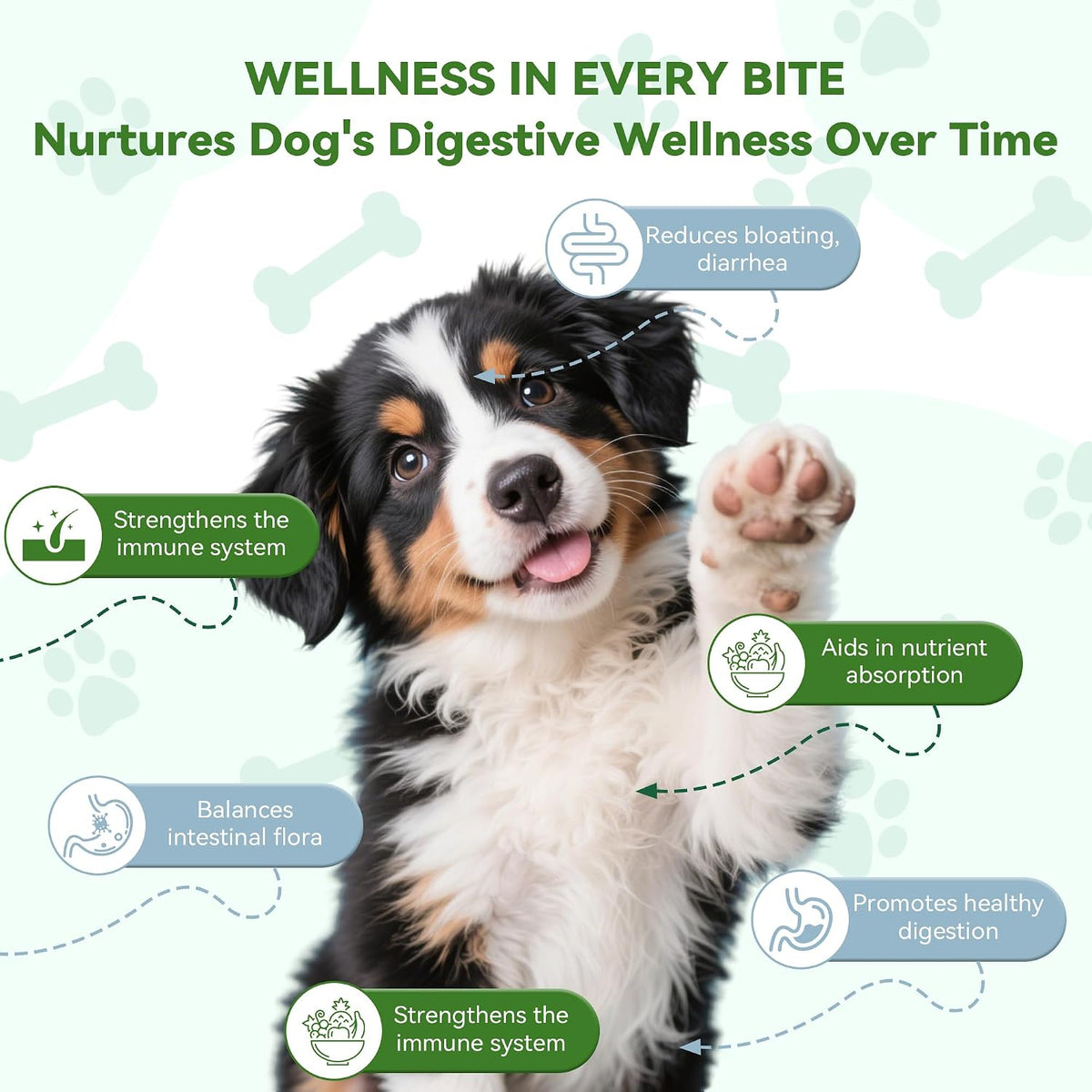 Woooha Probiotics for Dogs – 6 Billion CFU – Immune System Support: A healthy gut is closely linked to a strong – Image 2