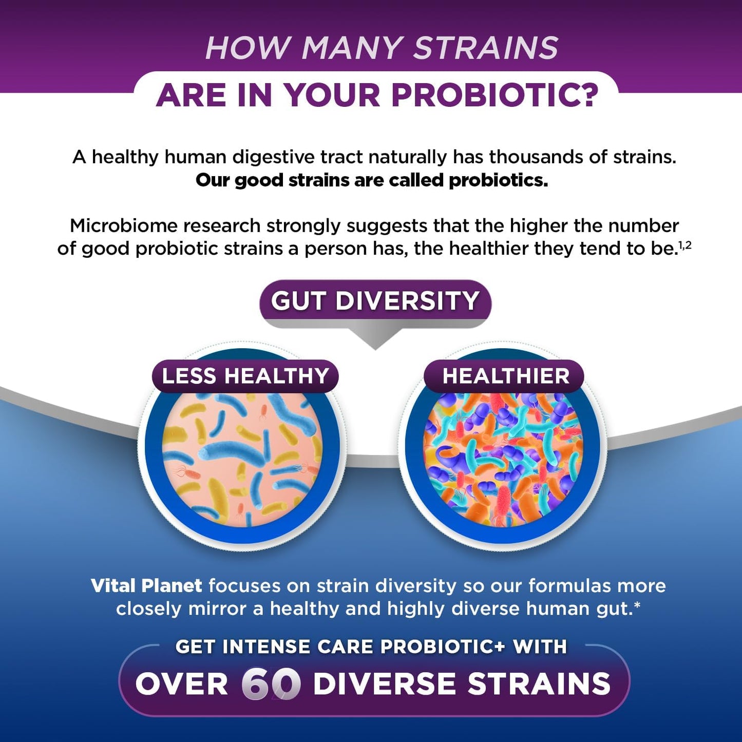 Vital Planet Intense Care Brain & Mood Probiotics – 65 Billion CFU, 67 Strains, 4-in-1 Supplement, 30 Capsules - görsel 4