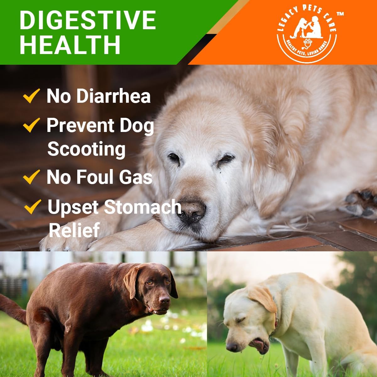 Probiotics for Dogs Soft Chews, 120 Chews – Complete Gut Care for Digestive & Immune Support | Probiotics for Digestive – Image 3