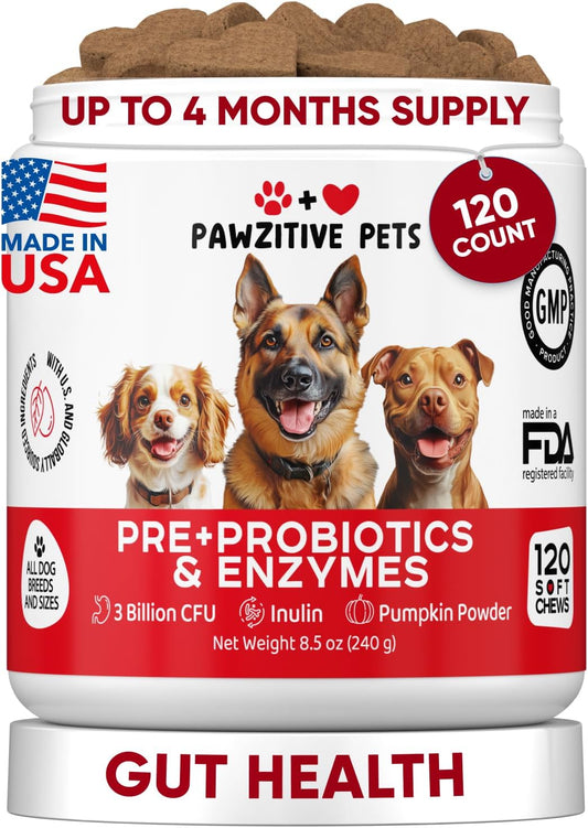 Pawzitive Pets Probiotics for Dogs - – Digestive Support: Probiotics help keep bowel movements regular and can – Image 1