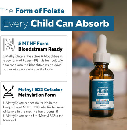 Organic Kids L-Methylfolate + Methyl B12 – Brain development and cognitive function —folate is essential for the – Image 5
