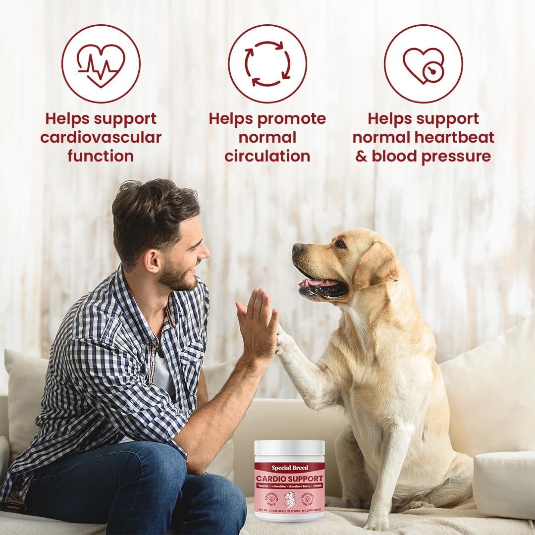 Special Breed Cardio Support for Dogs – – Coenzyme Q10 (CoQ10): A powerful antioxidant that supports cellular – Image 3
